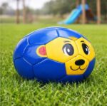 Pelota Cosida - Imagen 3