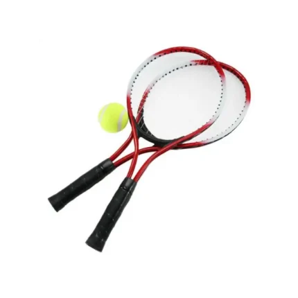 raqueta-de-madera-grande-con-pelota1